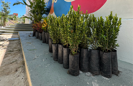 Iniciativas ambientais em operação de saúde